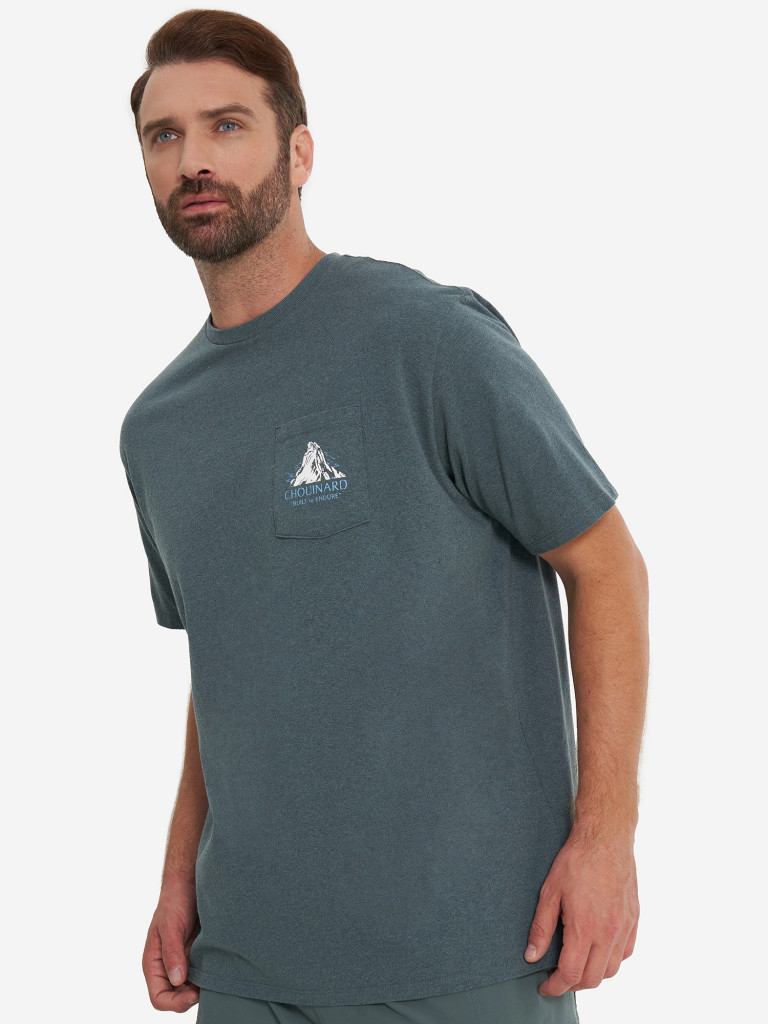 Футболка мужская Patagonia Chouinard Crest
