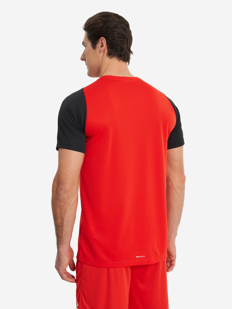 Футболка мужская Demix Playmaker