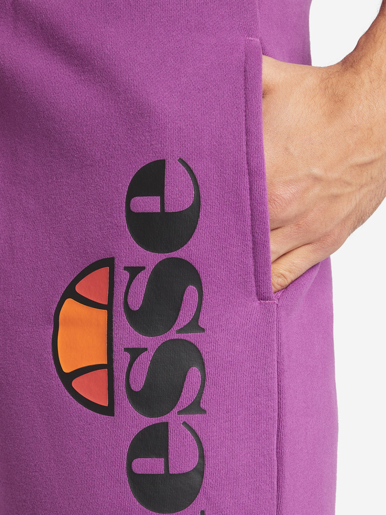 Шорты мужские Ellesse Bossini