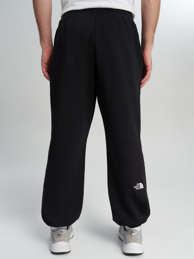 Брюки мужские The North Face Essential