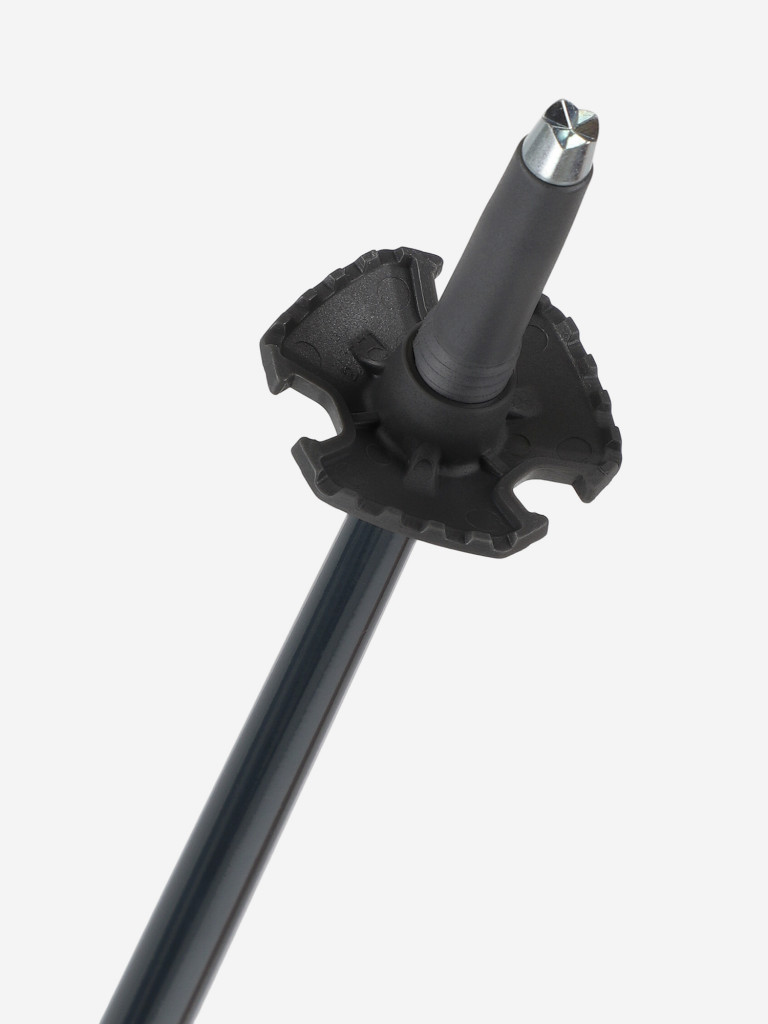 Палки горнолыжные Fischer RC4 Noize