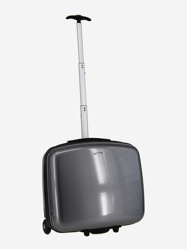 Чемодан RION+ S