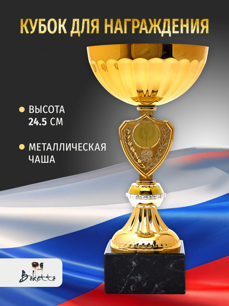Кубок спортивный для награждения победителей 24.5 см