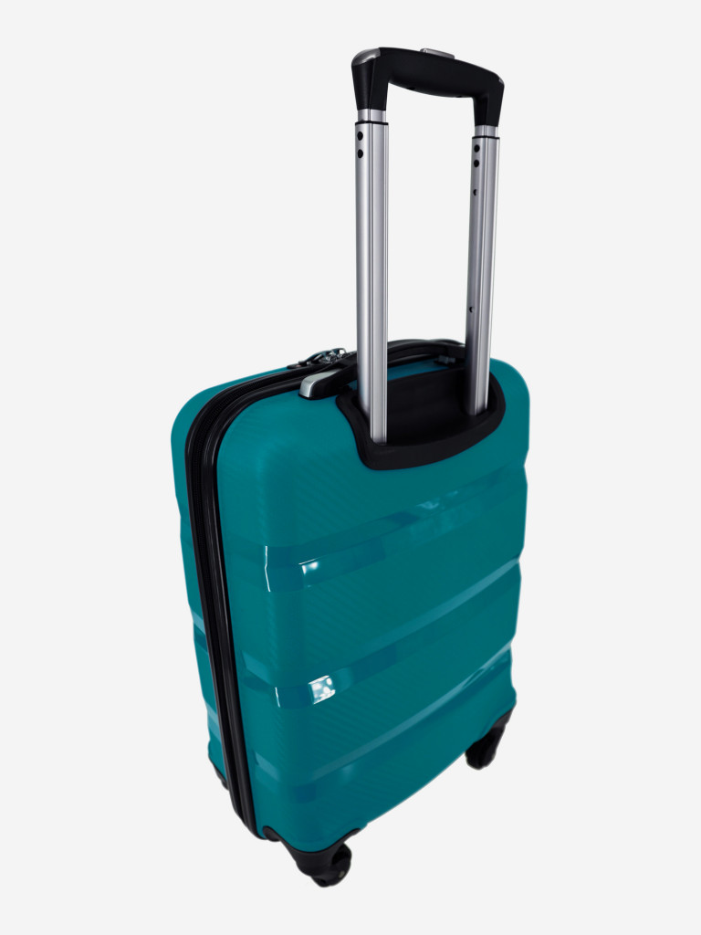 Чемодан RION+ S