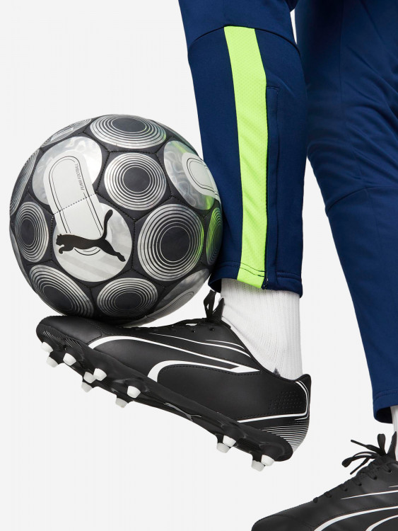 Бутсы мужские PUMA Vitoria Fg/Ag