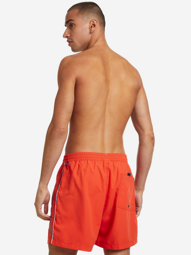 Шорты пляжные мужские Quiksilver Everyday Vert Volley