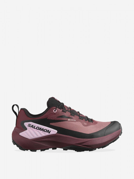 Кроссовки Salomon Genesis GTX W