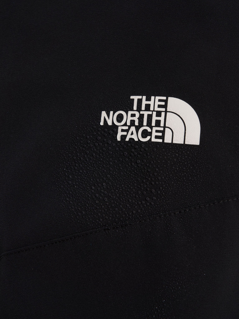 Брюки мужские The North Face Alpine Ridge