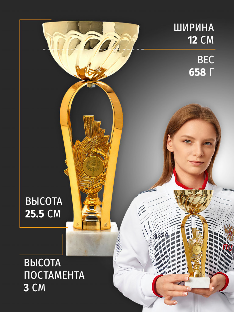 Спортивный кубок для награждения победителя 28.5 см