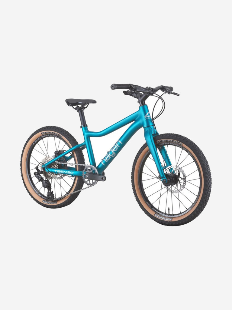 Велосипед Hagen Teen 20 R