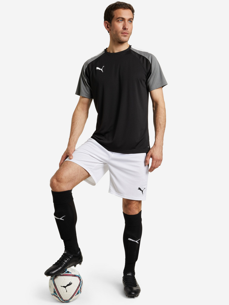 Футболка мужская PUMA teamPACER