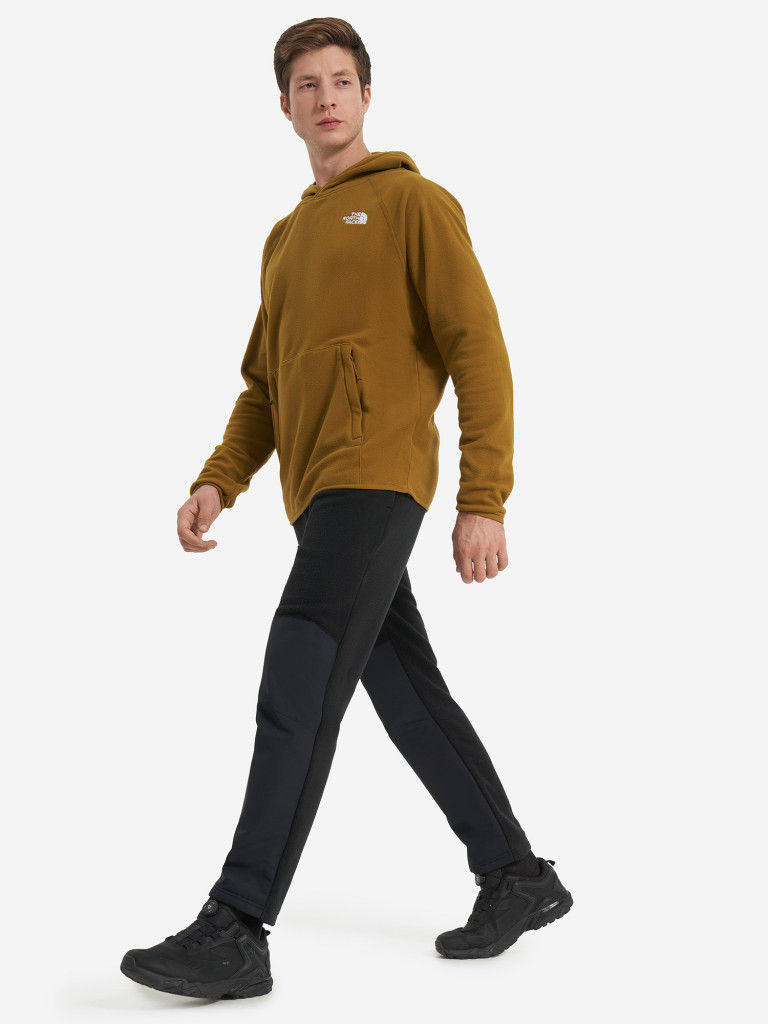 Худи мужское The North Face 100 Glacier