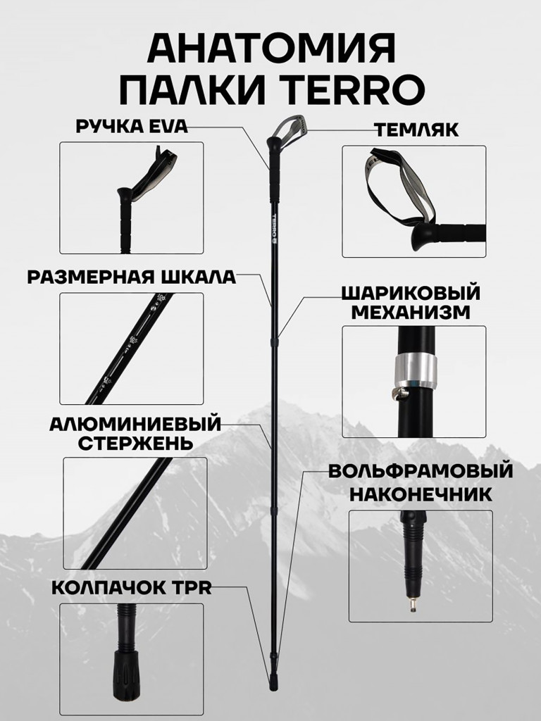 Палки для скандинавской ходьбы TERRO - алюминиевые телескопические