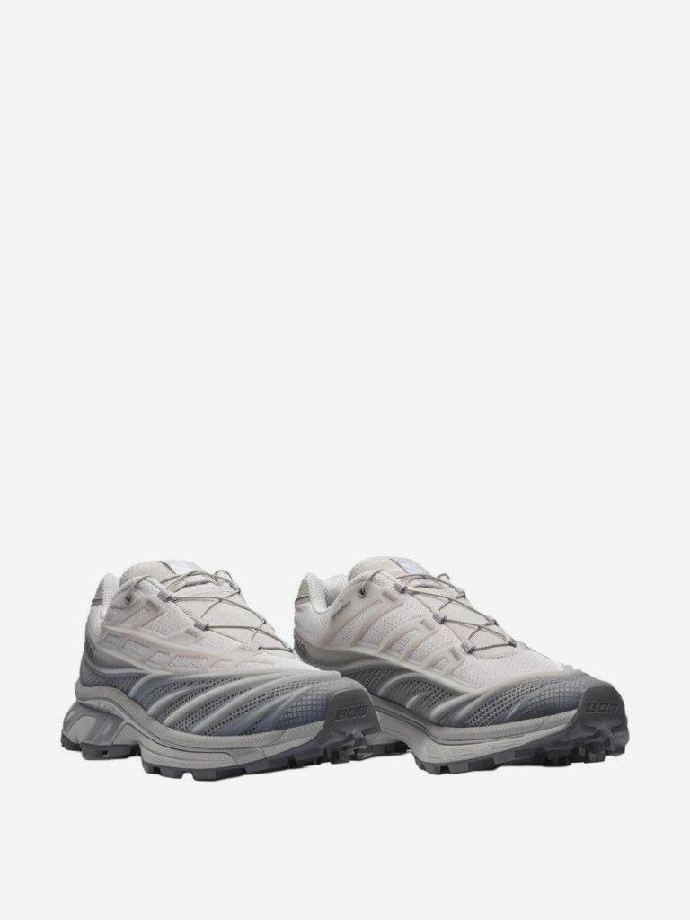 Кроссовки Salomon XT-EVO