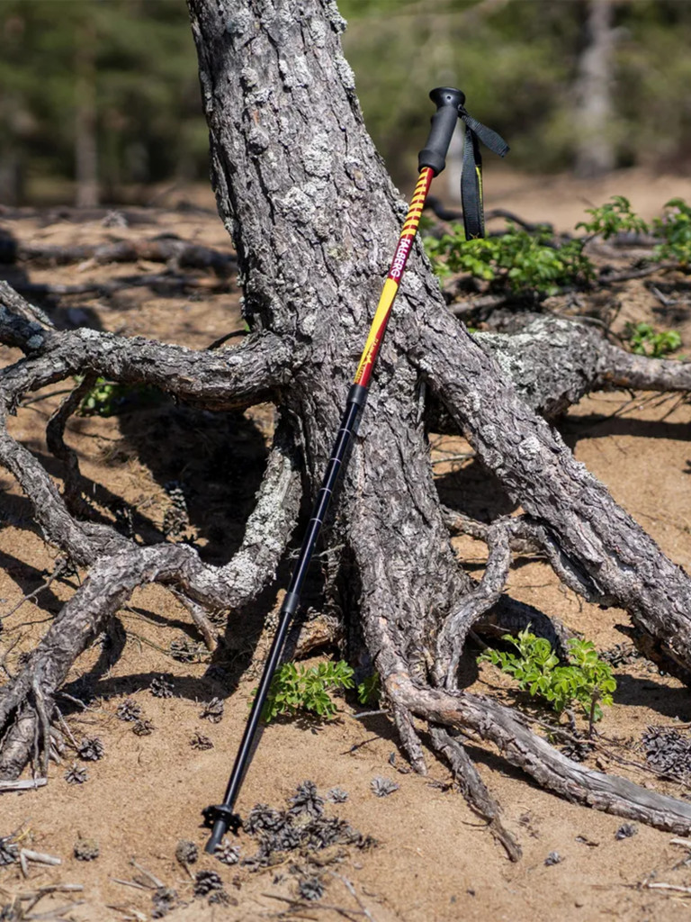 Палки для трекинга Talberg CLASSIC POLE, 66-135 см, 2 шт, цвет: красный