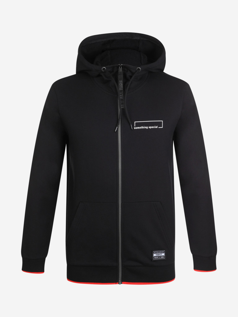 Толстовка мужская Termit