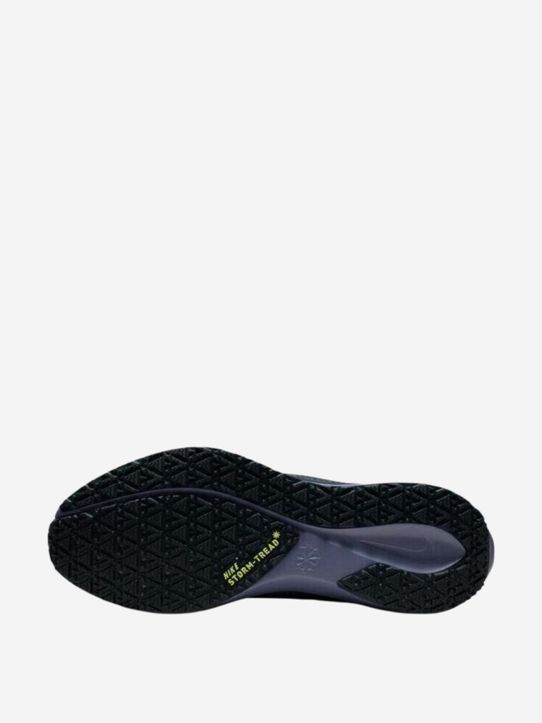 Кроссовки Nike Air Zoom Pegasus 41