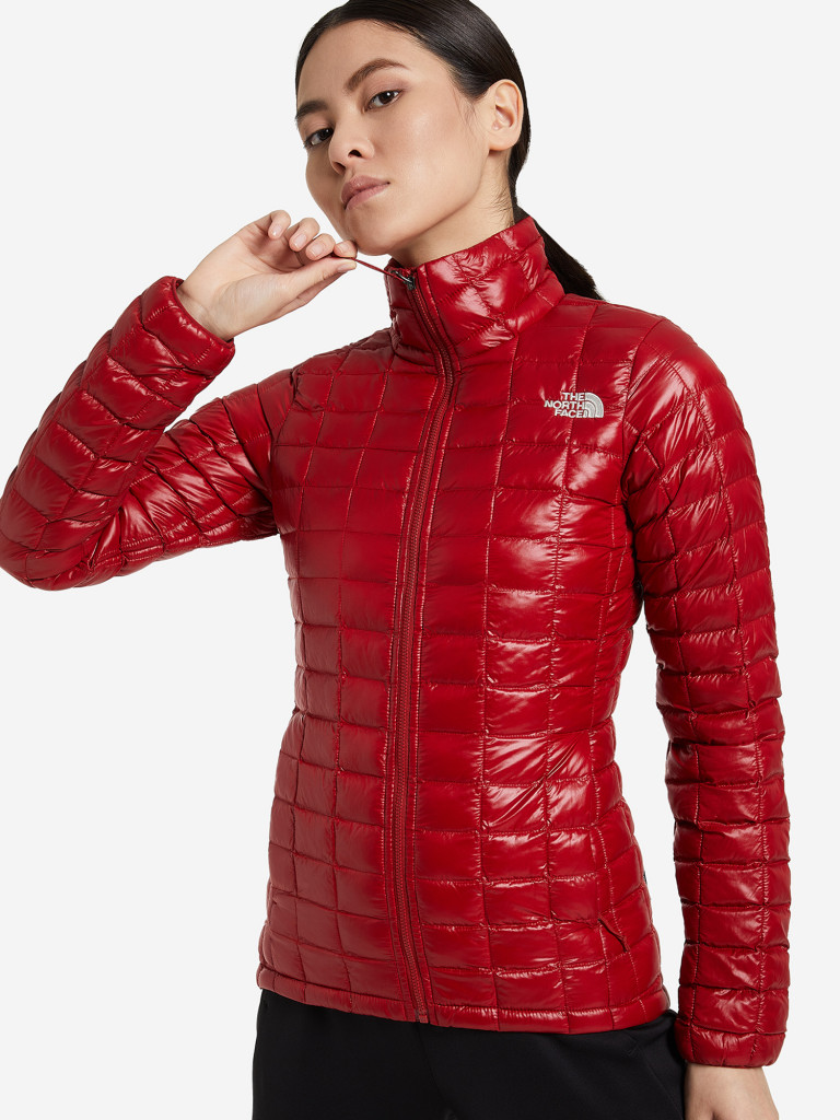 Пуховик женский The North Face Eco