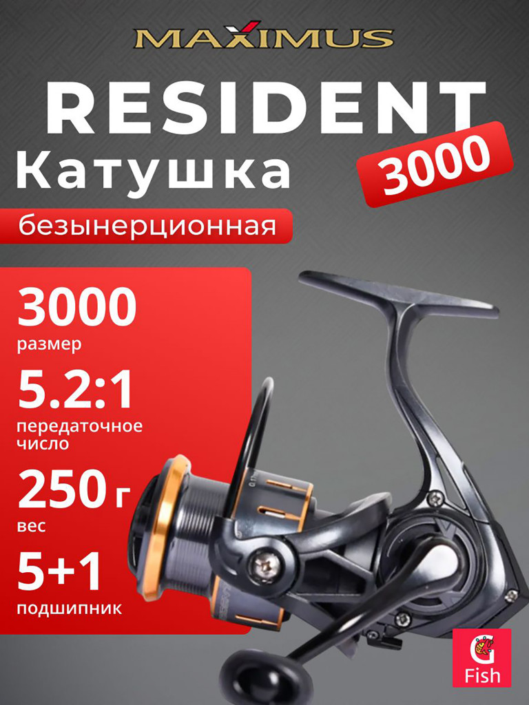 Катушка безынерционная Maximus Resident 3000 (5+1 подшипников)
