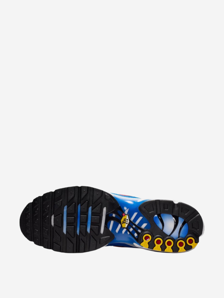 Кроссовки Nike Air Max Plus