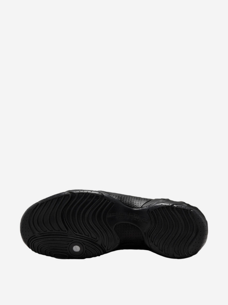 Кроссовки Nike Air Flightposite "Tripe Black"