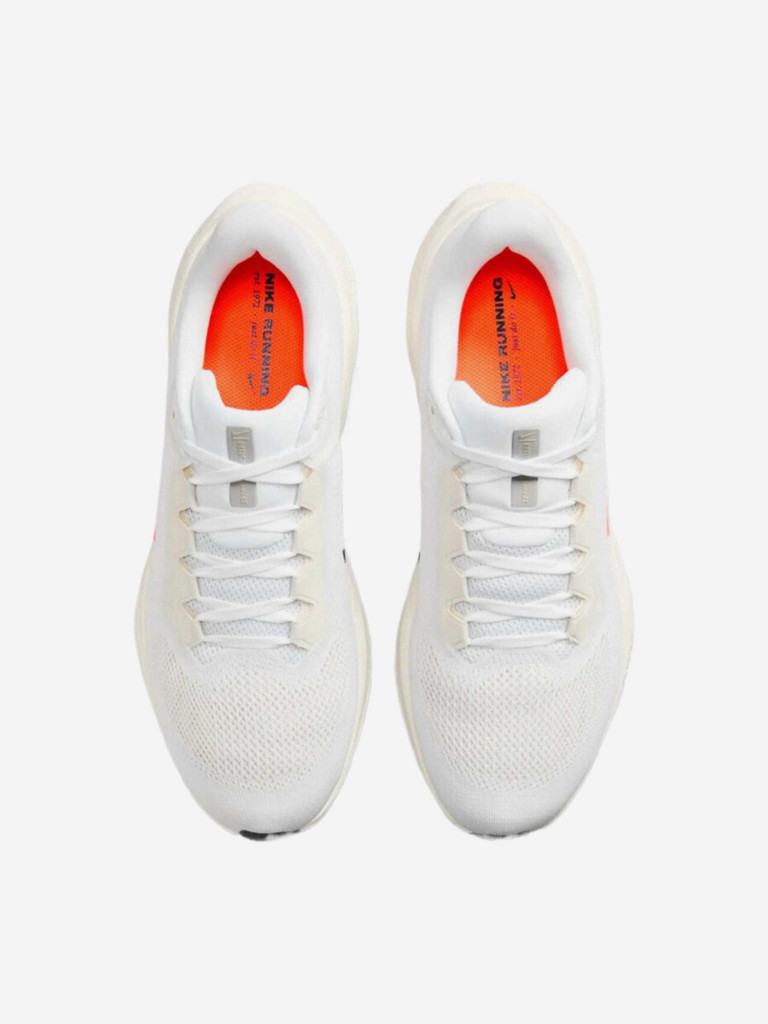 Кроссовки мужские Nike Pegasus 41 "Prequel"