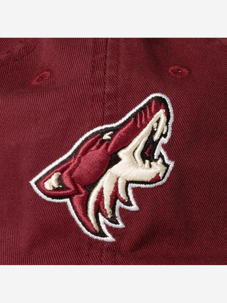 Бейсболка AMERICAN NEEDLE 40742A-PCO Arizona Coyotes Blue Line NHL
