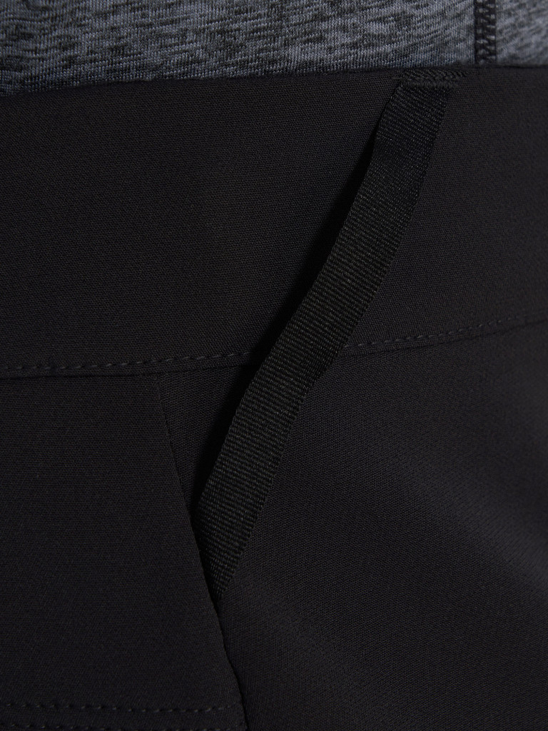 Брюки мужские The North Face M Diablo Reg