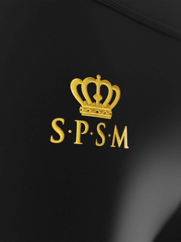 Леггинсы «Элит Мэш» длинные SPSM