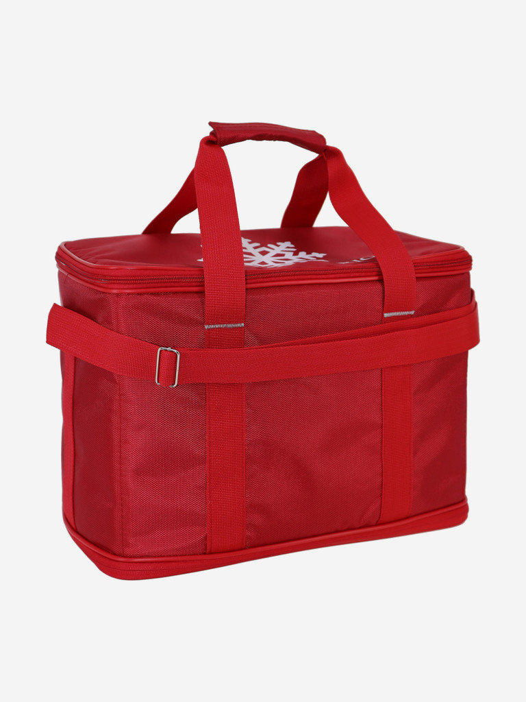 Термосумка Рион+ (RION+)