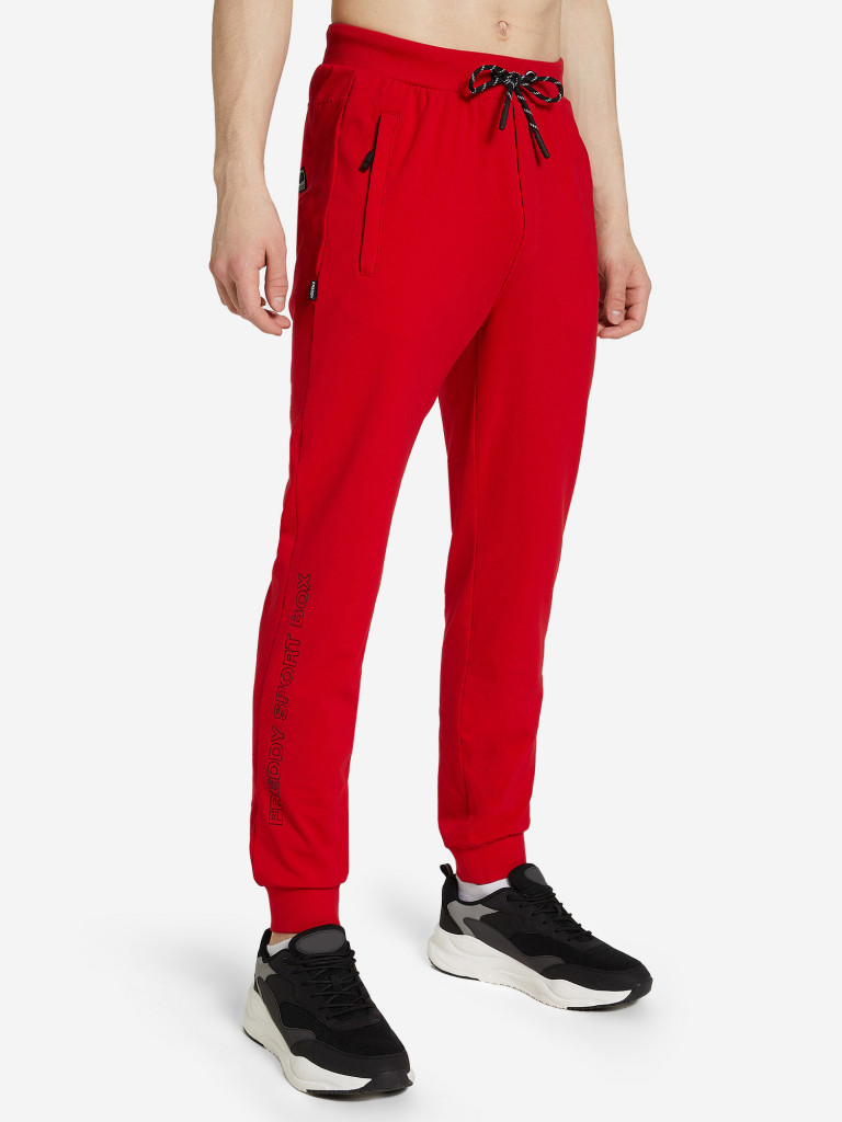 Брюки мужские Freddy