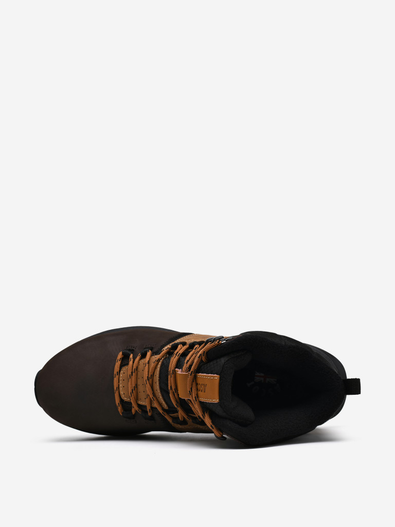 Ботинки утепленные мужские Ascot Dusk