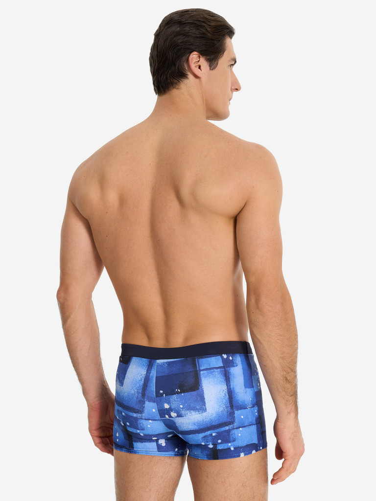 Плавки-шорты мужские Speedo Valmilton