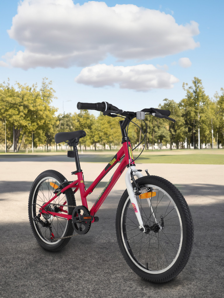 Велосипед для девочек Denton Shine 1.0 20" 2024