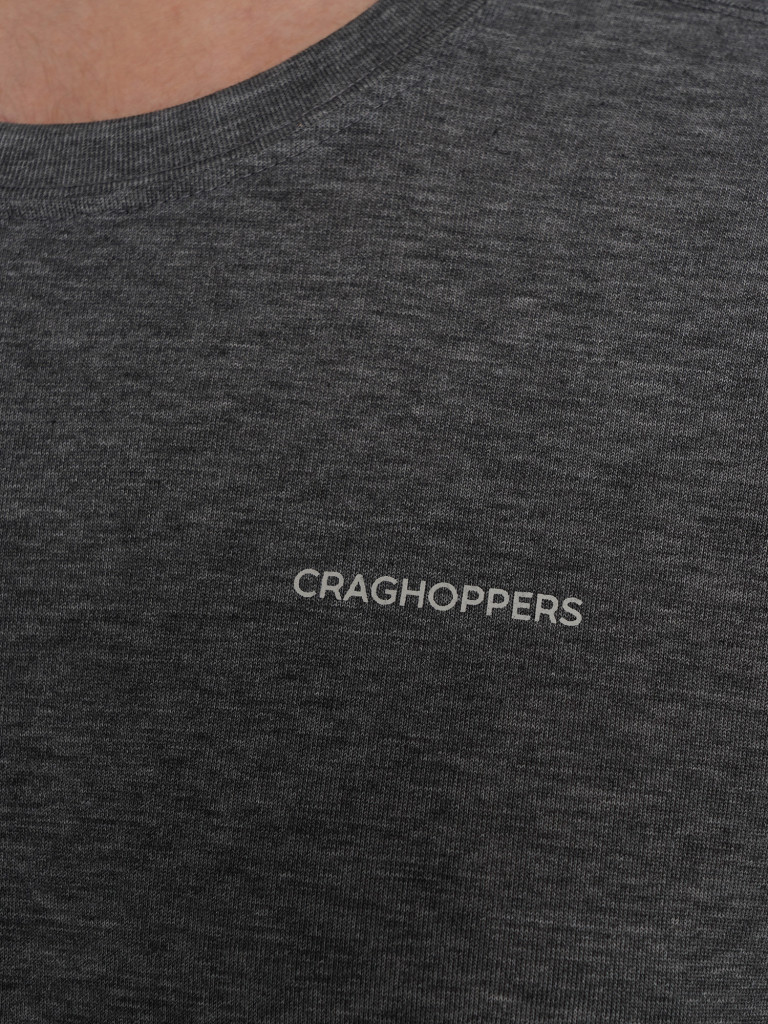 Лонгслив мужской CRAGHOPPERS Nosilife Abel