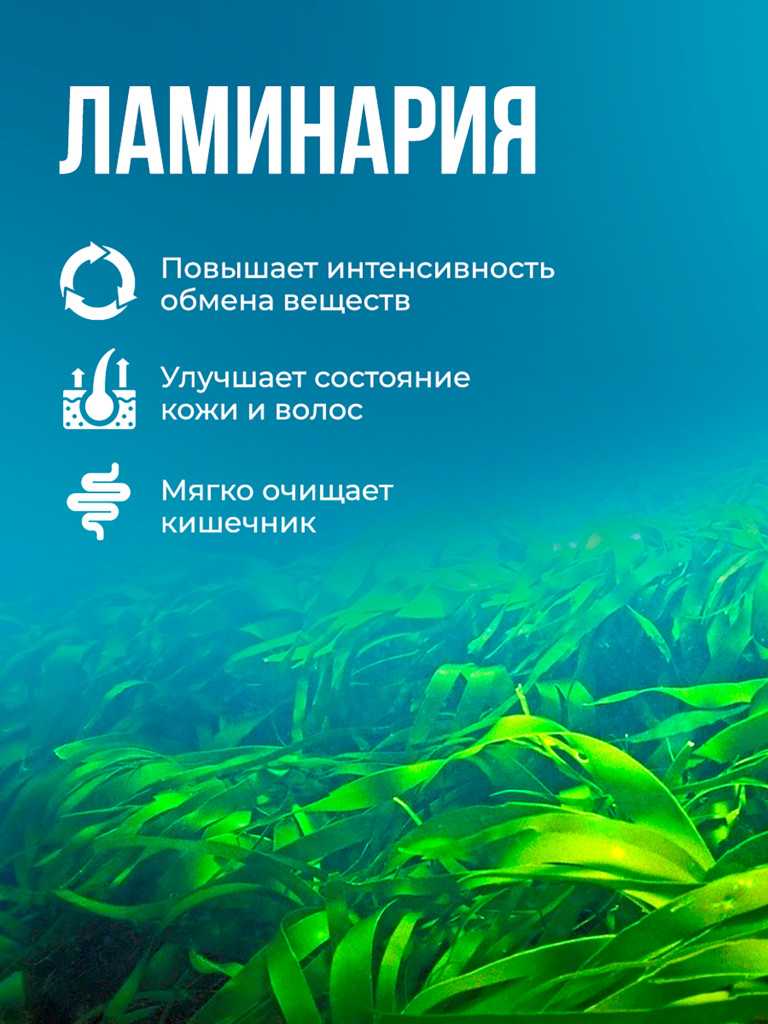 Система очищение, детокс-комплекс с хитозаном, ламинарией и альгинатом кальция, для снижения веса и выведения токсинов, БАД, 60 капсул / Доктор Море