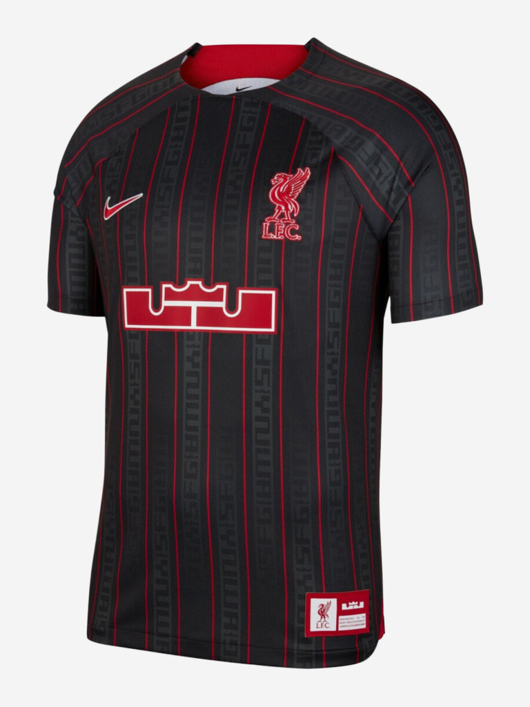 Футболка спортивная мужская Nike LeBron X Liverpool F.C. Dri FIT Stadium