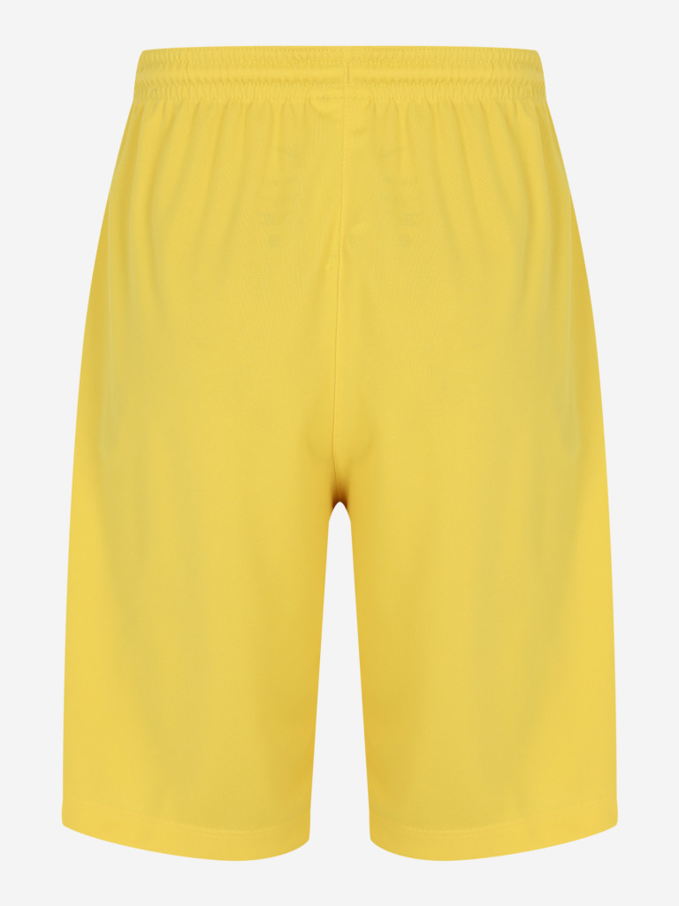 Шорты для мальчиков Nike Kids Short Park III