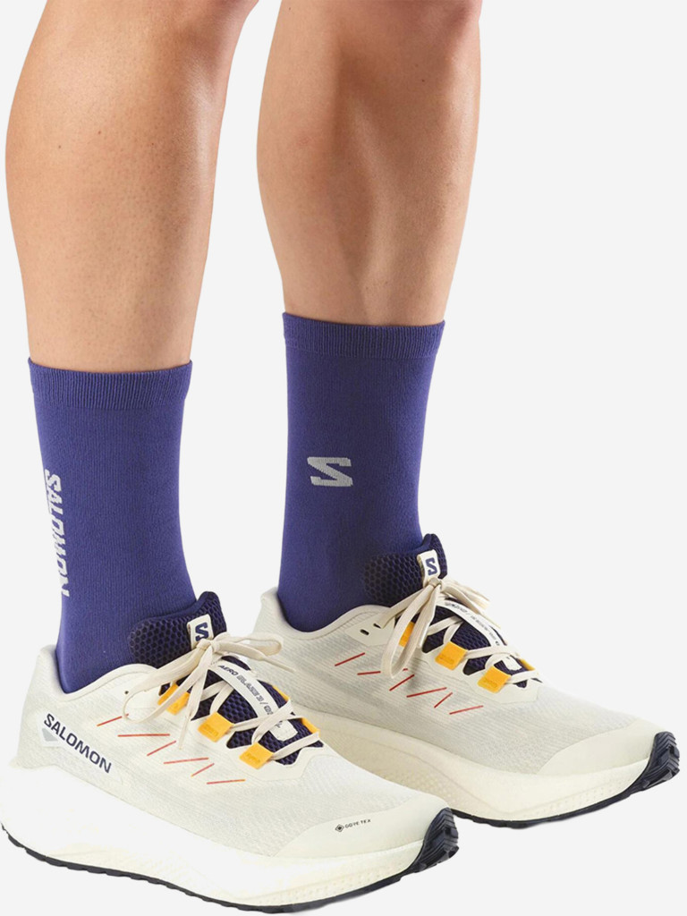 Кроссовки беговые Salomon Aero Blaze 3 GRVL GTX