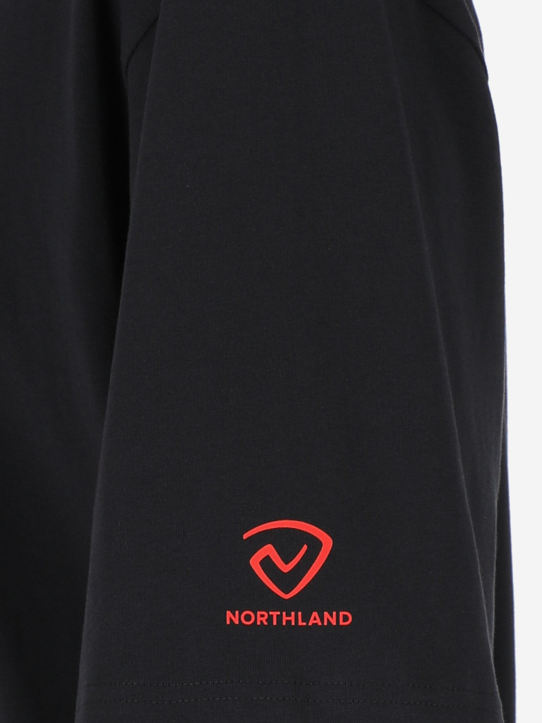 Футболка мужская Northland
