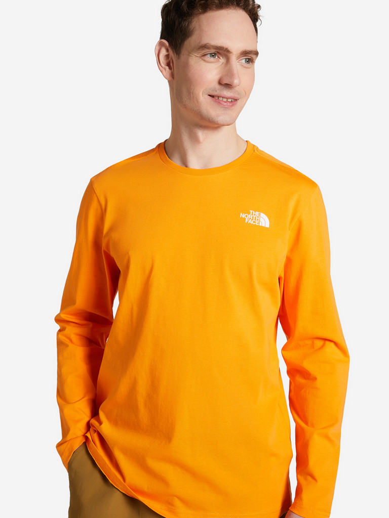 Лонгслив мужской The North Face