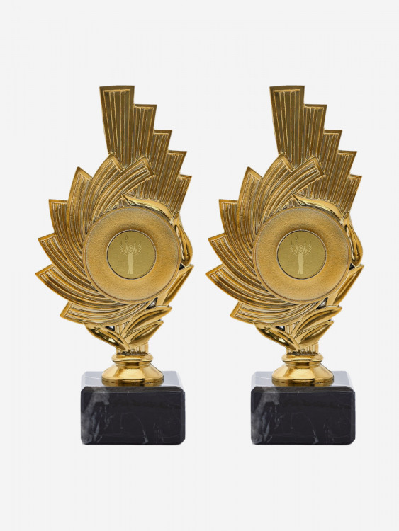 Кубок для награждения победителей Статуэтка 2 шт. Награда для спорта и конкурсов.