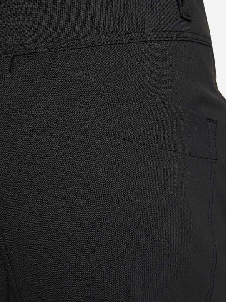 Брюки мужские Arc'teryx Russet