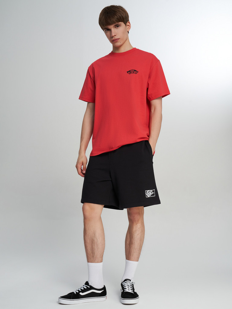 Шорты мужские Vans Blocked Box