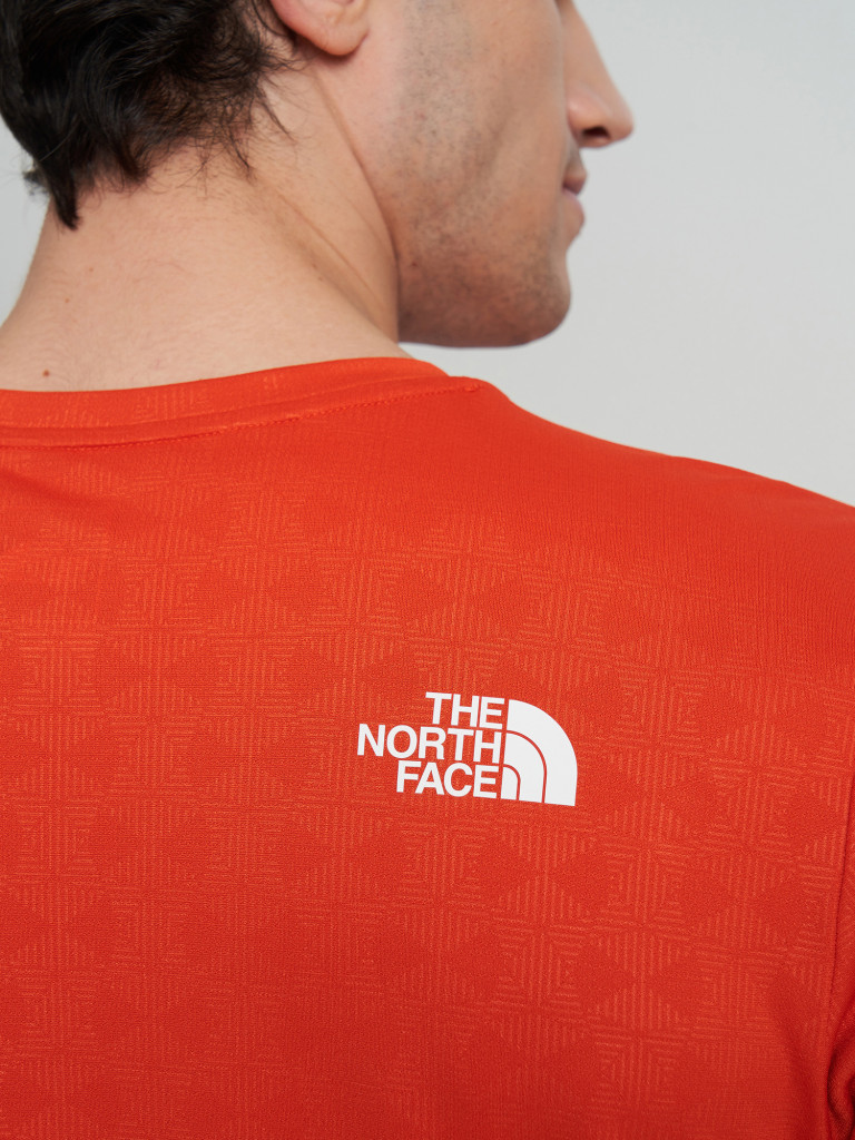 Футболка мужская The North Face 24/7