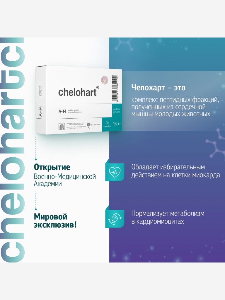 Натуральные пептиды сердца - Челохарт N20
