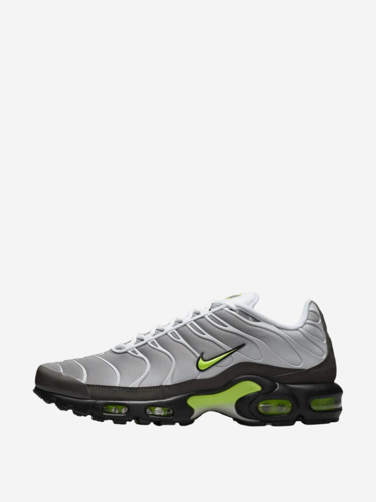 Кроссовки мужские Nike Air Max Plus