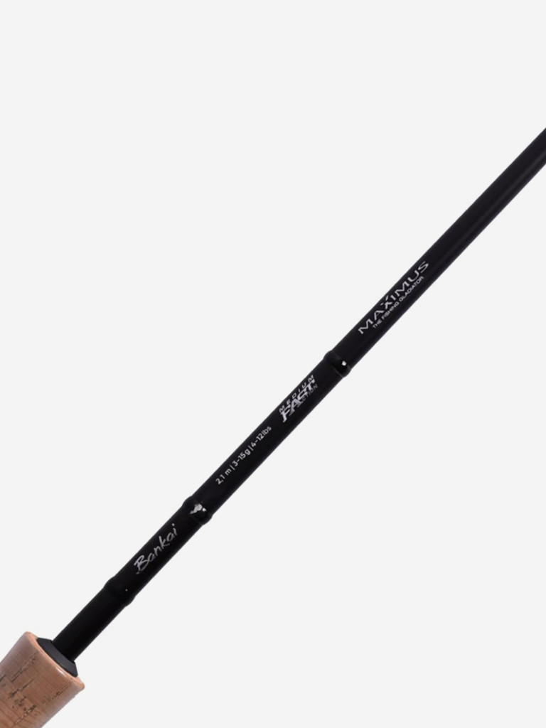 Спиннинг для рыбалки Maximus Bankai 24H 2,4m 20-60g