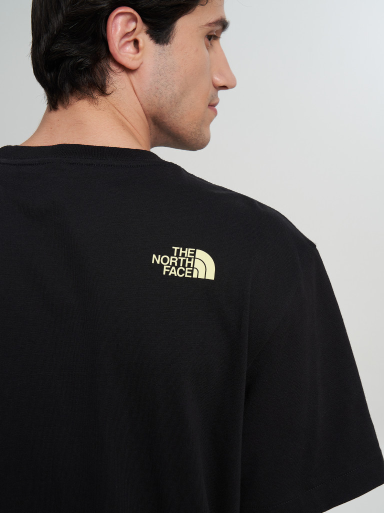 Футболка мужская The North Face Logo Twist