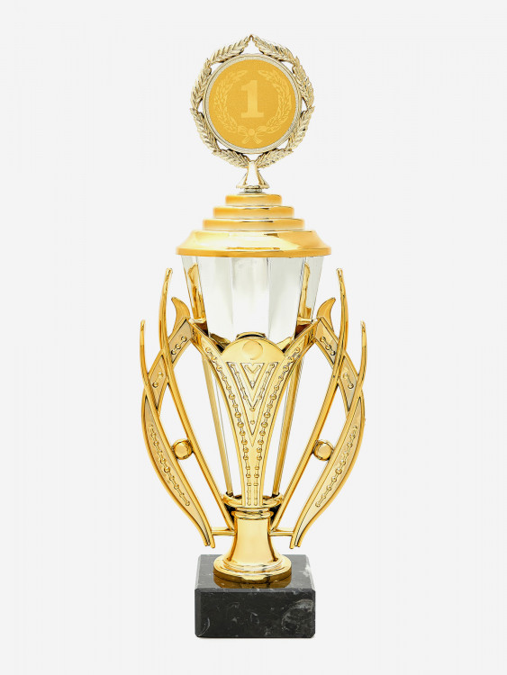 Кубок для награждения за 1 место серебристого цвета